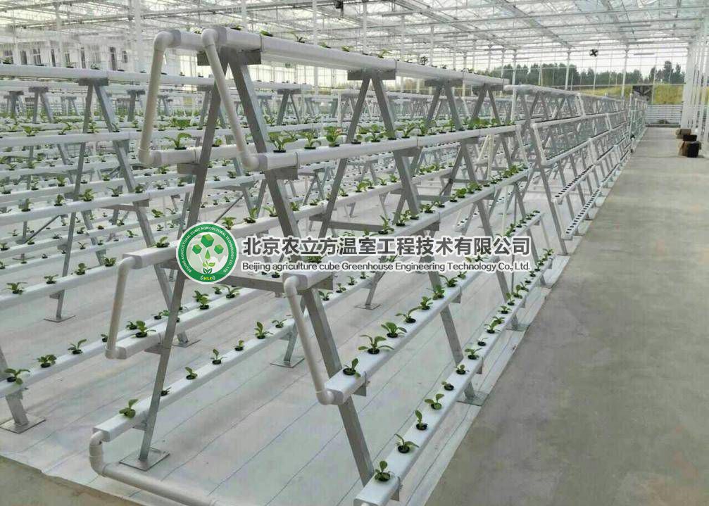 立體無土栽培設(shè)備，菜居然能種在空中！ 